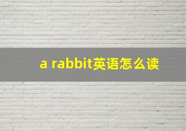 a rabbit英语怎么读